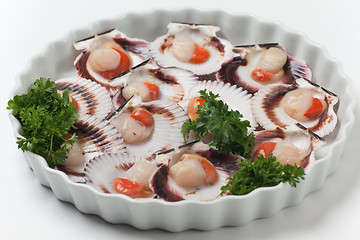 Image showing Uncooked scallops