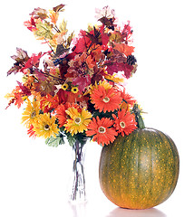 Image showing Autumn Flowers