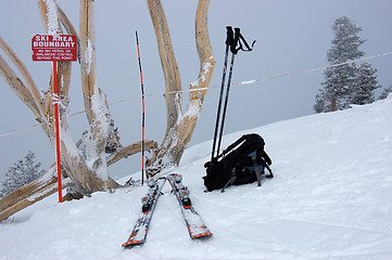 Image showing Skiing