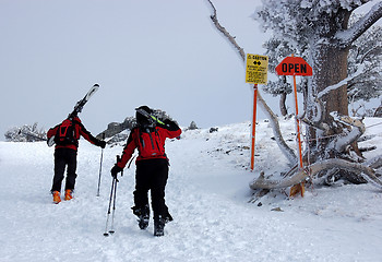 Image showing Skiers