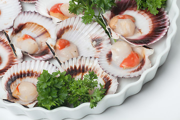 Image showing Uncooked scallops