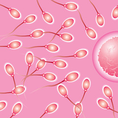 Image showing sperm natural