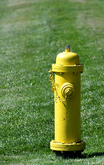 Image showing Yellow fire hydrant