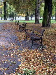 Image showing autumn in  park