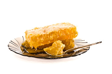 Image showing Beer honey in honeycombs