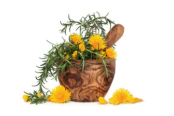 Image showing  Rosemary Herb and Wild Flowers