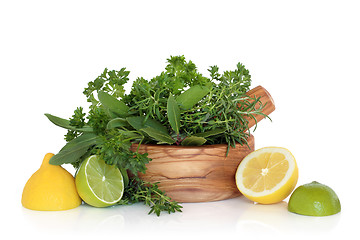 Image showing Lemon, Lime and Herb Leaf Freshness