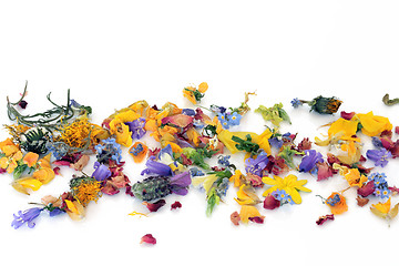 Image showing Scattered Flowers and Herbs