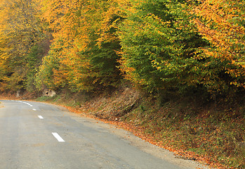 Image showing Road in autumn