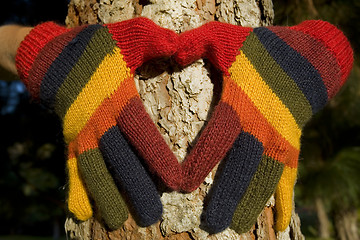 Image showing Autumn Hands on a Tree Trunk