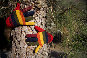 Image showing Autumn Hands on a Tree Trunk