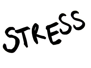 Image showing stress