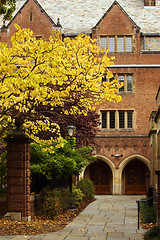 Image showing Yale university