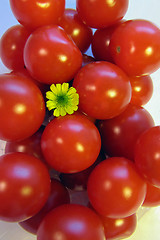 Image showing Cherry Tomatoes