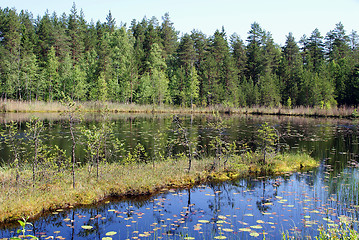 Image showing Calm Lake in Rural Finland