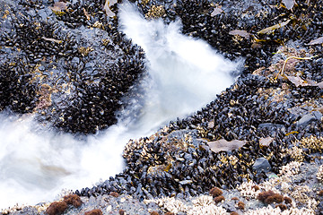 Image showing Salt Creek Recreation Area