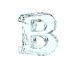 Image showing frozen B