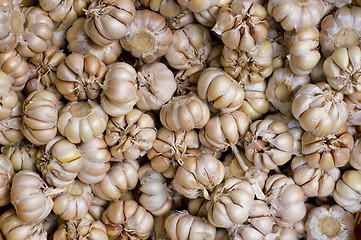 Image showing garlic