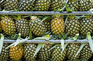 Image showing pineapples