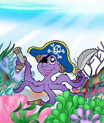 Image showing Pirate octopus underwater