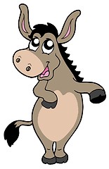 Image showing Funny donkey