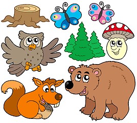 Image showing Forest animals collection 3