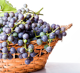 Image showing Grapes on The Vine