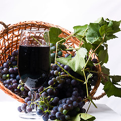 Image showing Grapes on The Vine