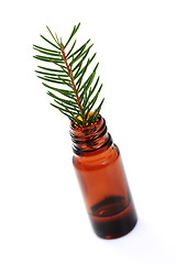 Image showing fir tree essential oil