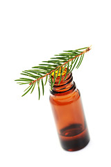 Image showing fir tree essential oil