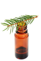 Image showing fir tree essential oil