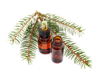 Image showing fir tree essential oil