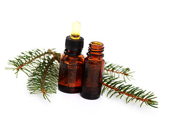 Image showing fir tree essential oil