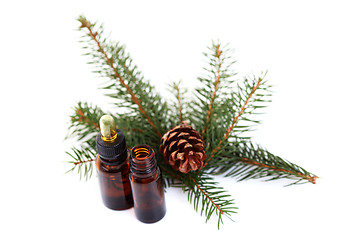 Image showing fir tree essential oil