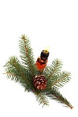 Image showing fir tree essential oil