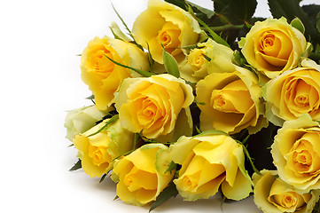 Image showing Yellow roses