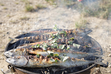 Image showing preparing grilled fishes 