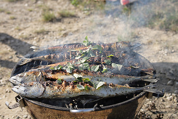 Image showing preparing grilled fishes 