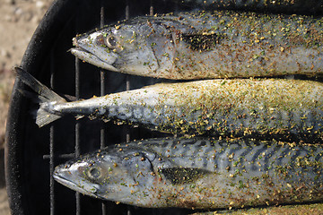 Image showing grilled fishes background