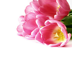 Image showing Tulips