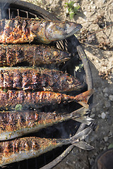 Image showing grilled fishes background