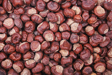 Image showing chestnuts background