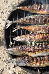 Image showing grilled fishes background