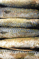 Image showing grilled fishes background