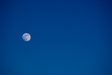 Image showing blue moon