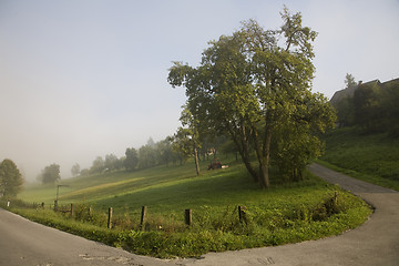 Image showing Foggy morning