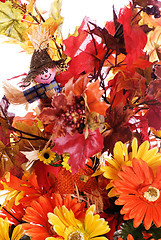 Image showing Fall Flowers