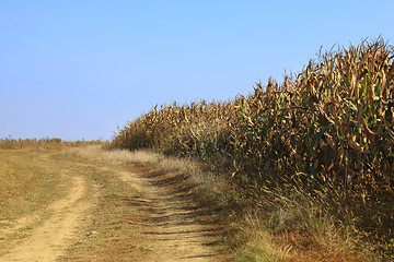 Image showing Country dirt road