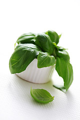 Image showing fresh basil