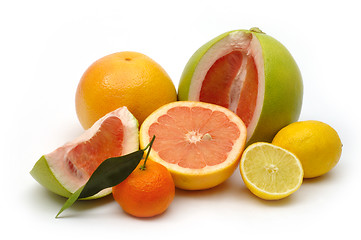 Image showing Citrus. Still life